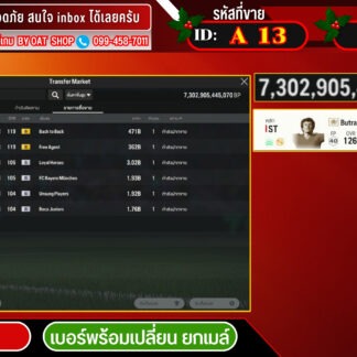 A13.Mล้วน 7,302,905m